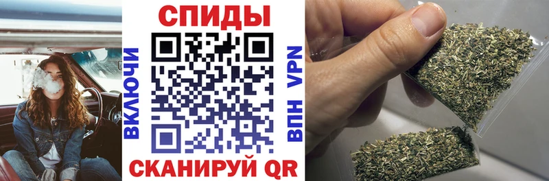 сколько стоит  Холм  Бутират буратино 