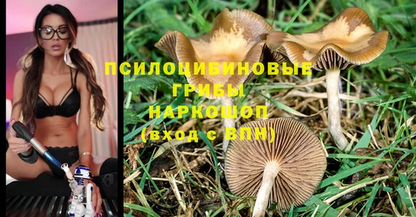 гидра Абинск