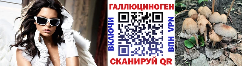 Галлюциногенные грибы Psilocybe даркнет сайт Холм